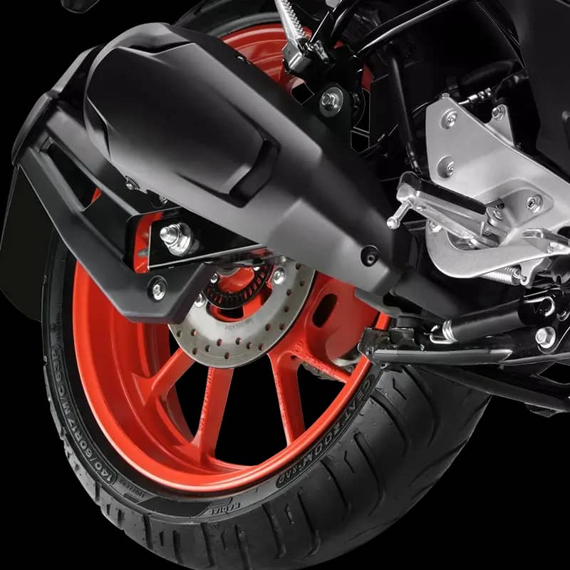Rear Disc Brake