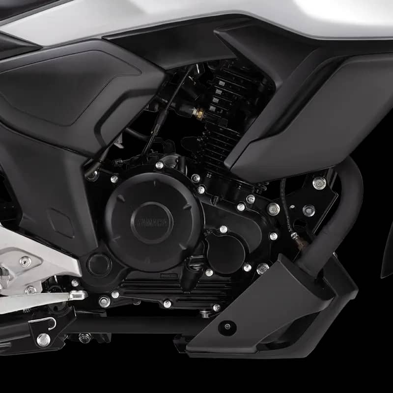 Trusted & Efficient FI Engine