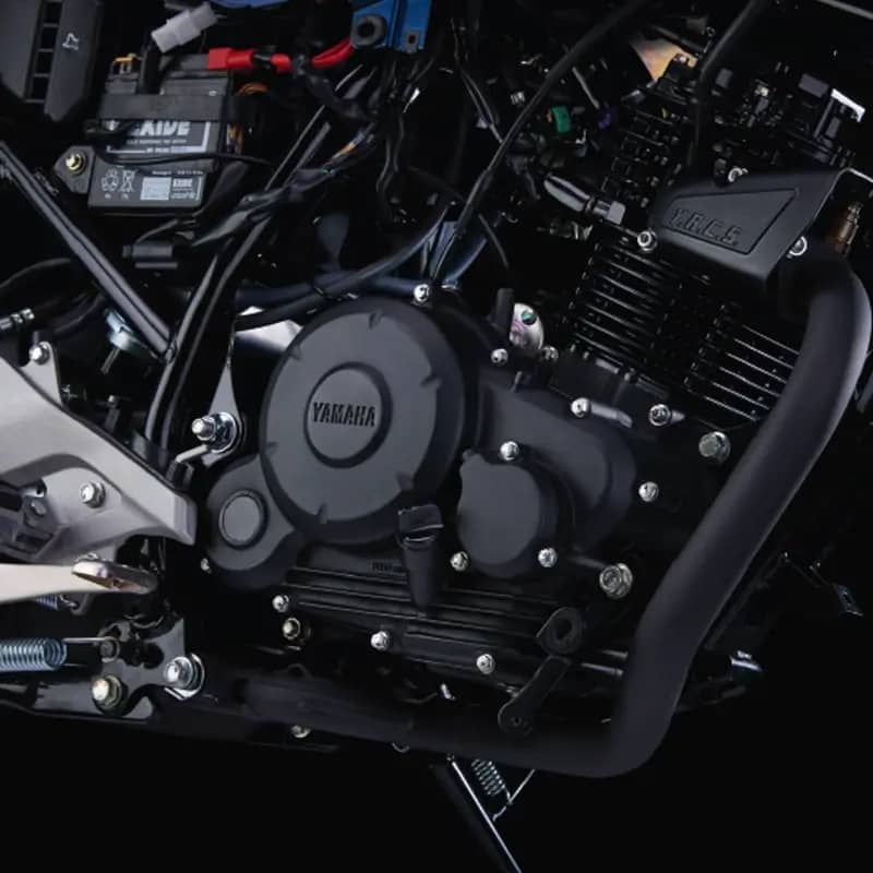 Trusted & Efficient FI Engine