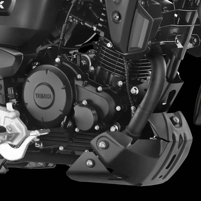 Trusted & Efficient FI Engine