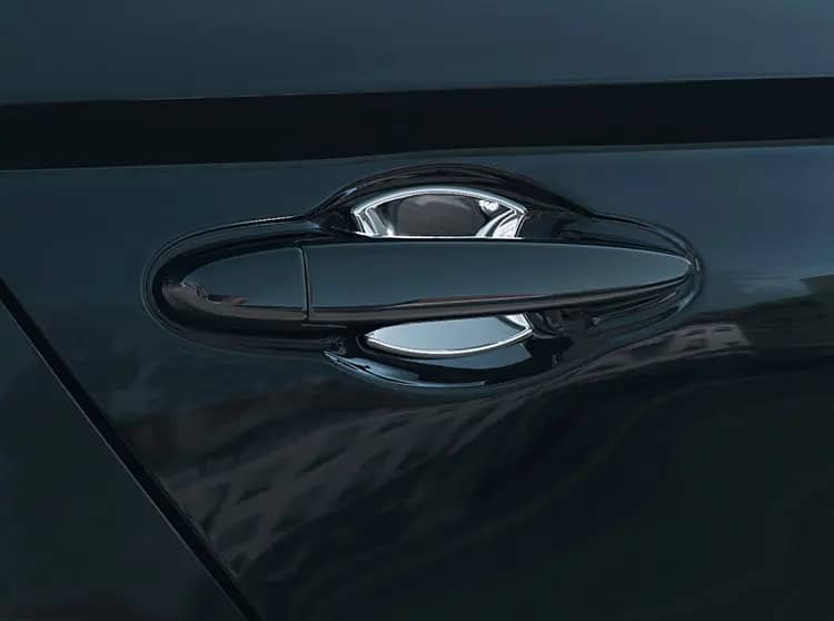 Door Handle Protector