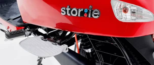 Passenger Side Footrest & Saree Guard
