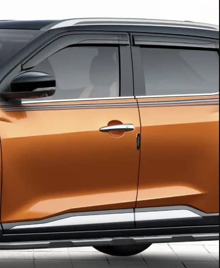 Chrome Door Handles