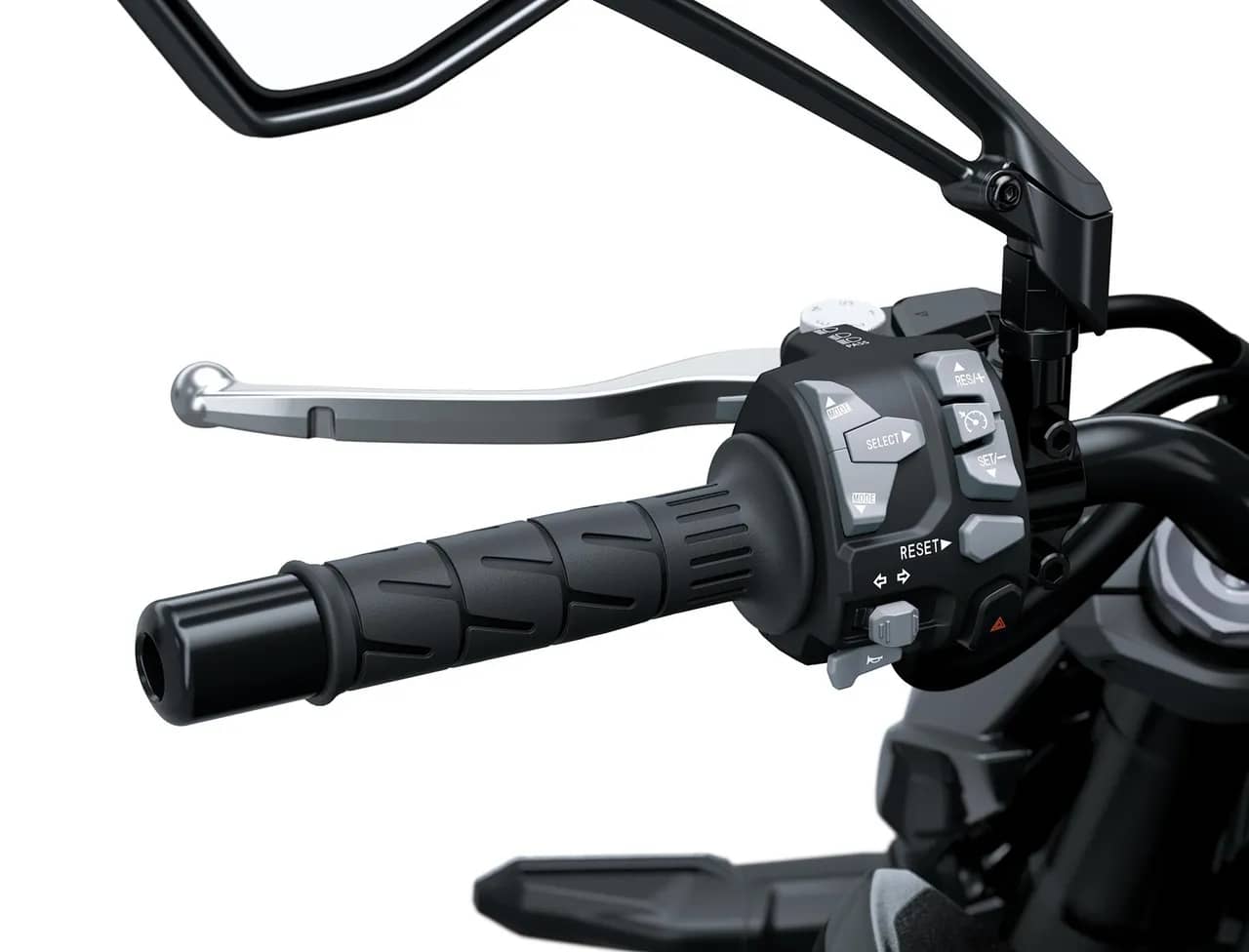 Electronic Cruise Control