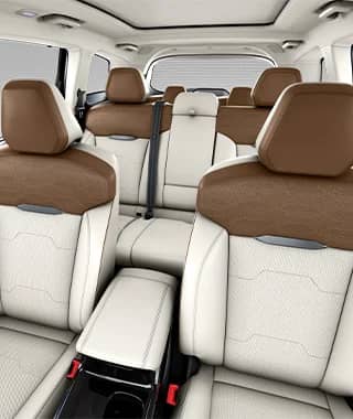 Leatherette Interiors