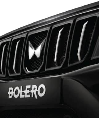 Bold New Grille