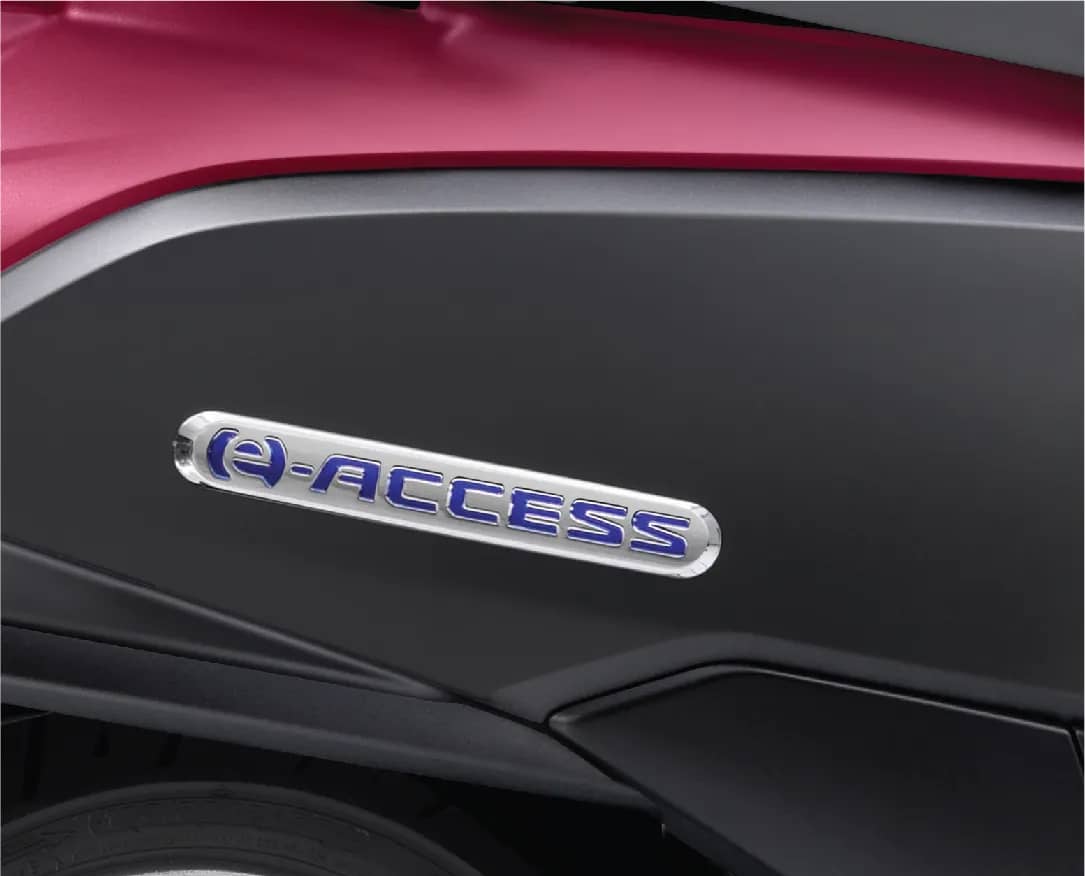 Distinctive Raised Emblems