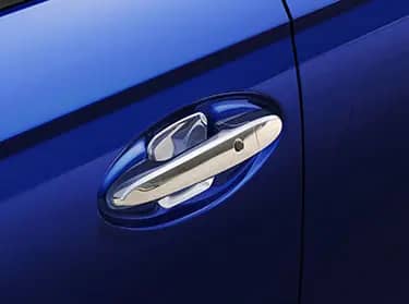 Door Handle Protector
