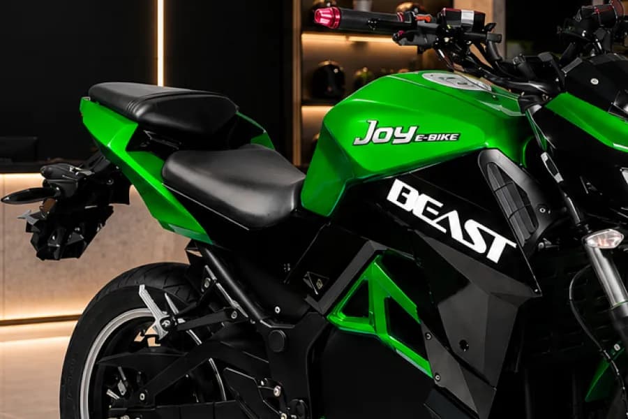 Joy E bike Beast Seat View