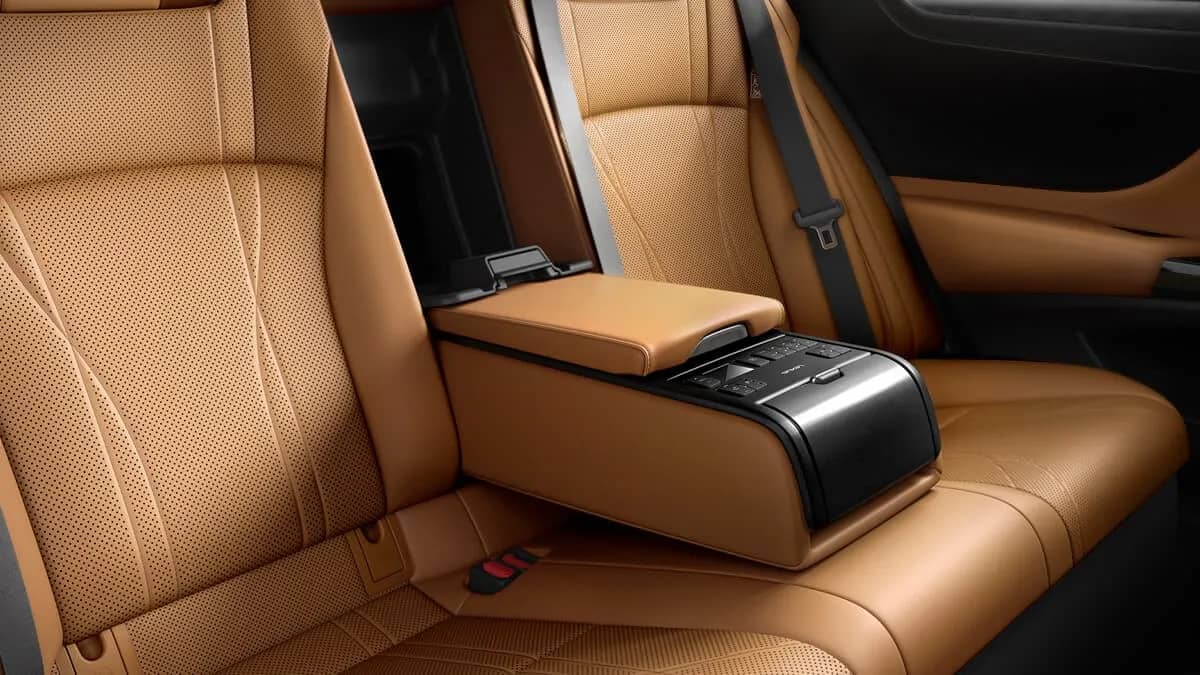 Optimal Rear Cabin Experience