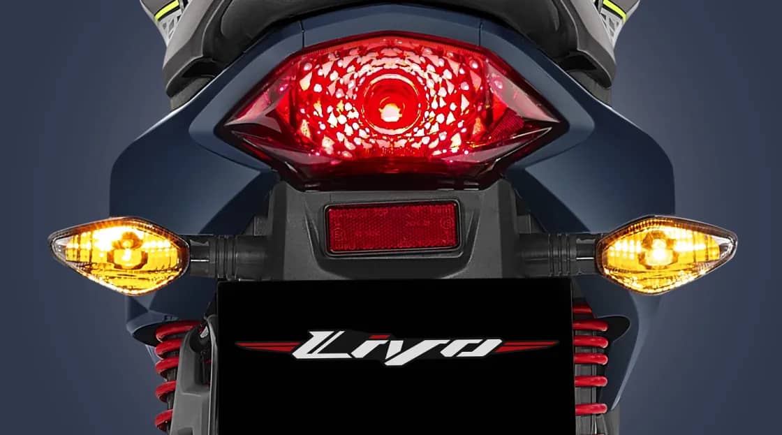 Strong Rear Appearance