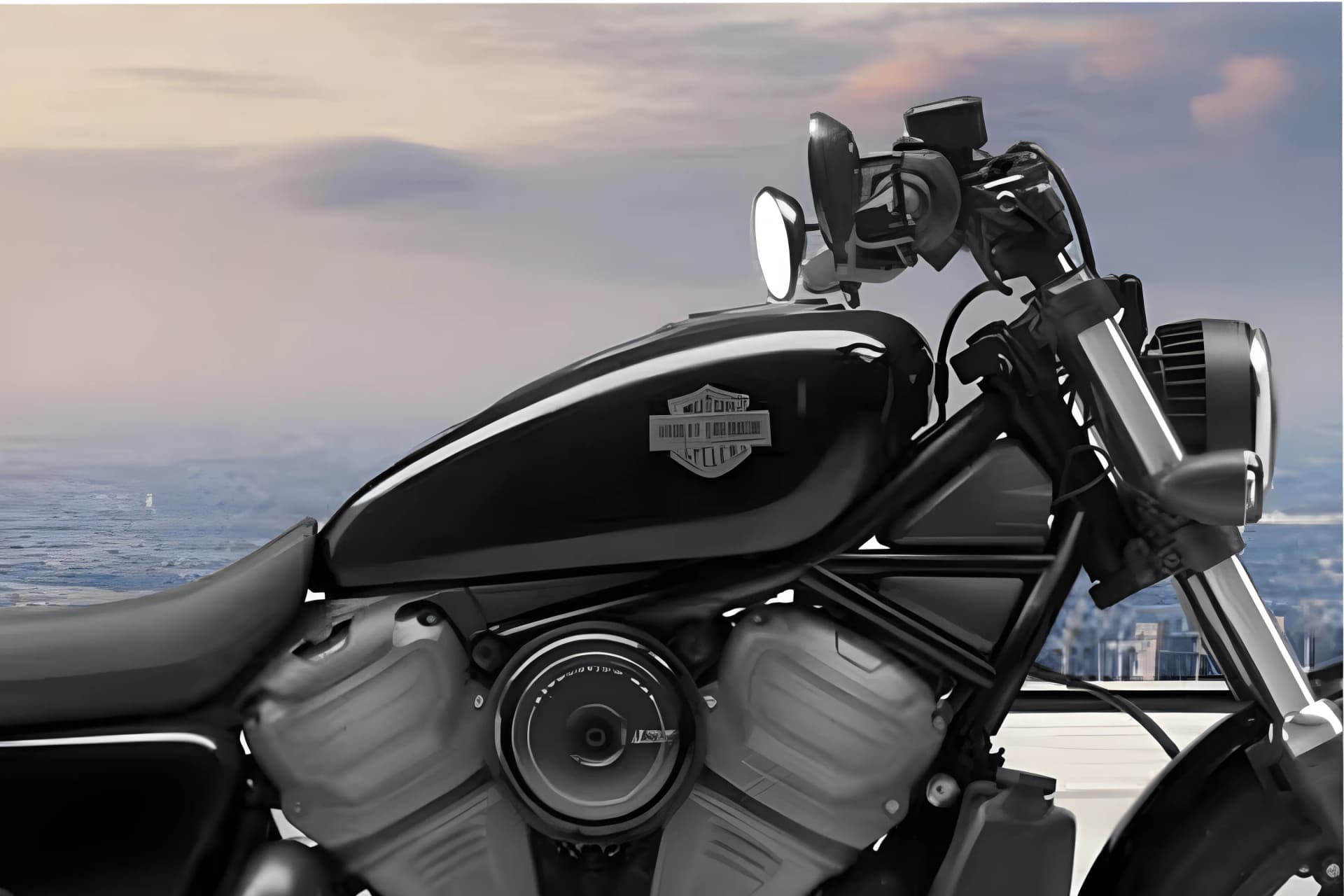 Harley Davidson Nightster Fuel Tank View