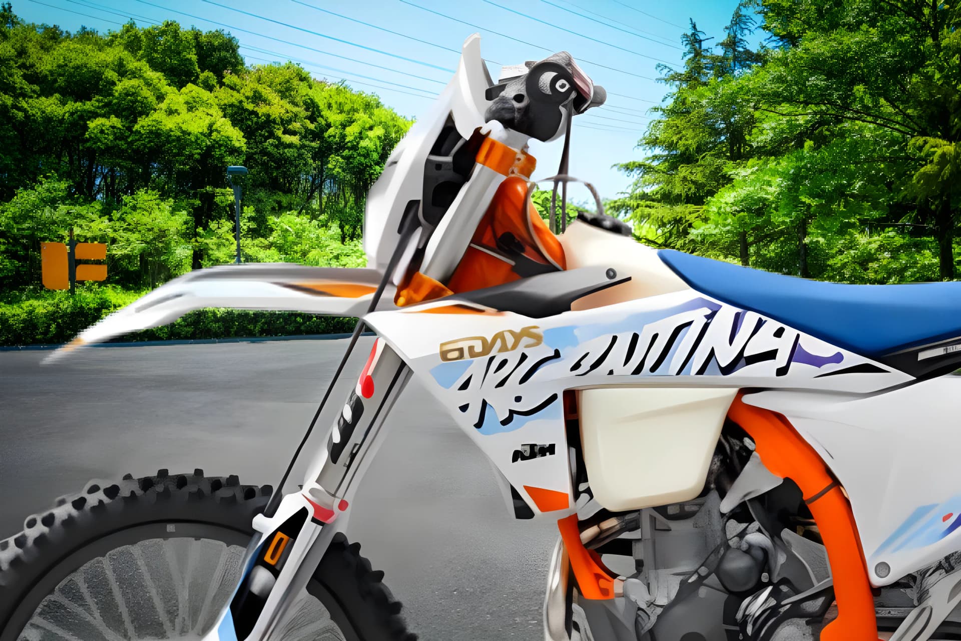 KTM 350 EXC F Front Suspension