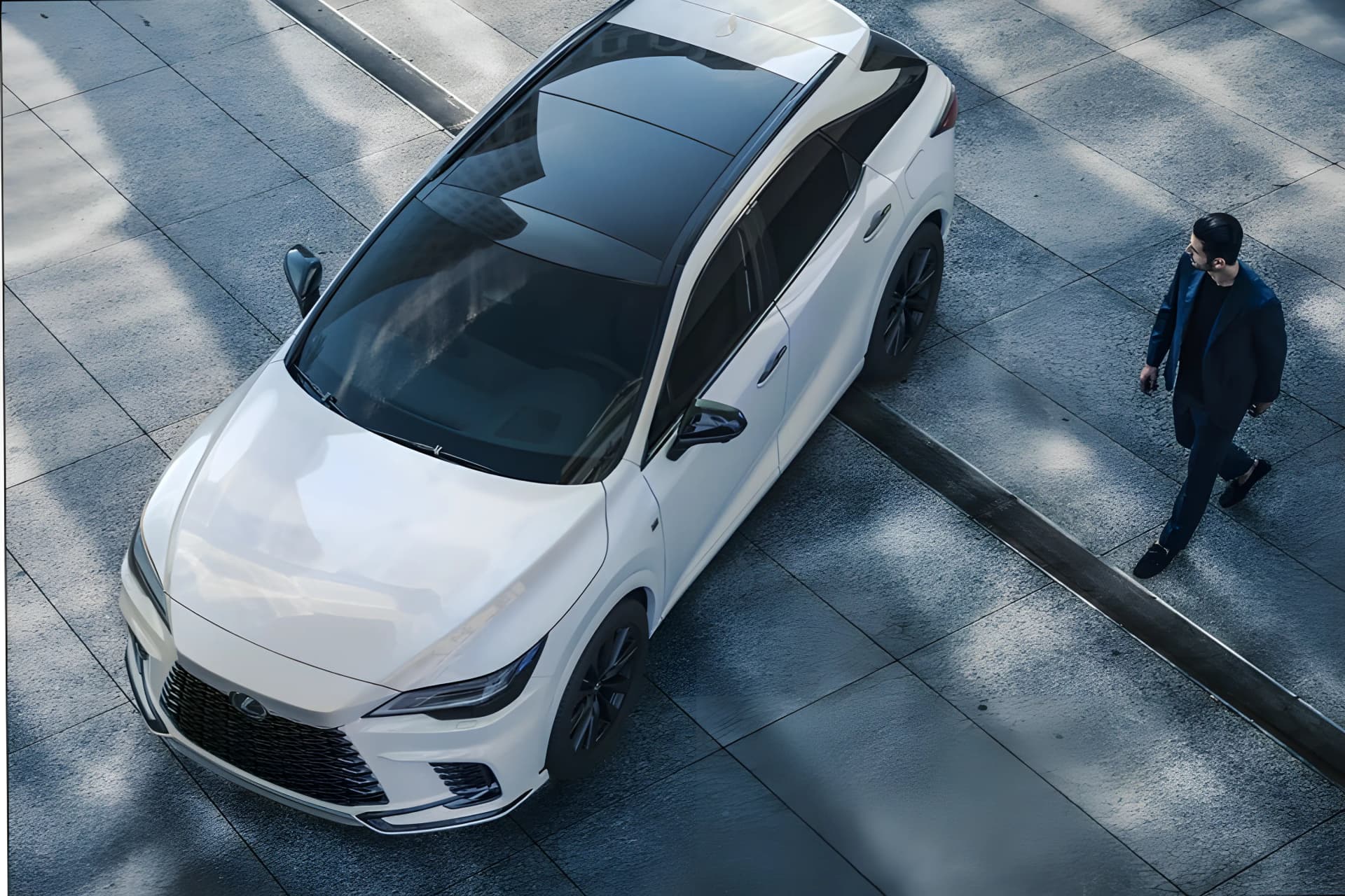 Lexus RX Hybrid Roof View
