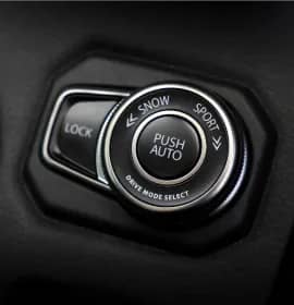 Drive Mode Switch