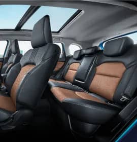 Rear Seats